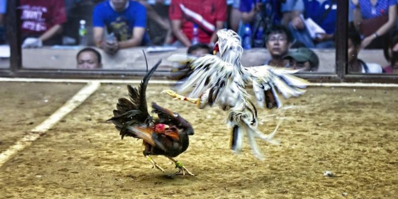 fun888 ﻿đăng nhập lô đề uy tín
