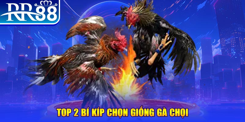 fun888 bắn cá h5