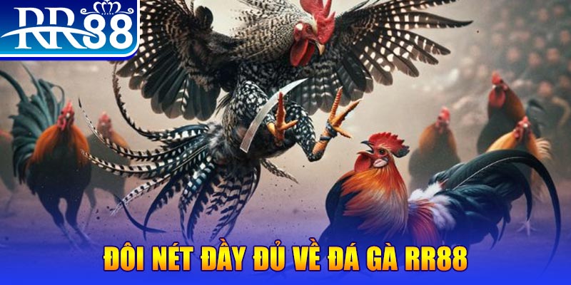 fun888 gà chọi hoà phong