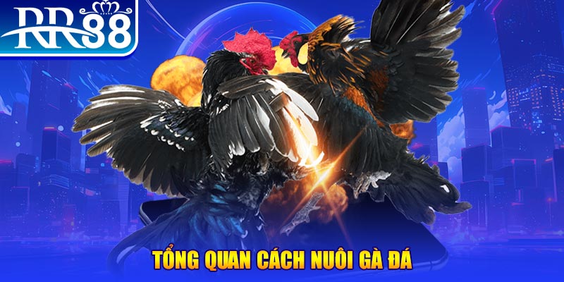 fun888 xổ số thứ ba