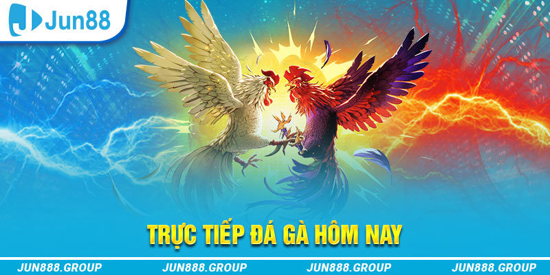 fun888 trực tiếp đá gà thomo