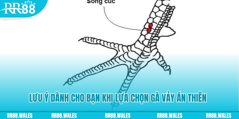 fun888 xổ số khánh hòa