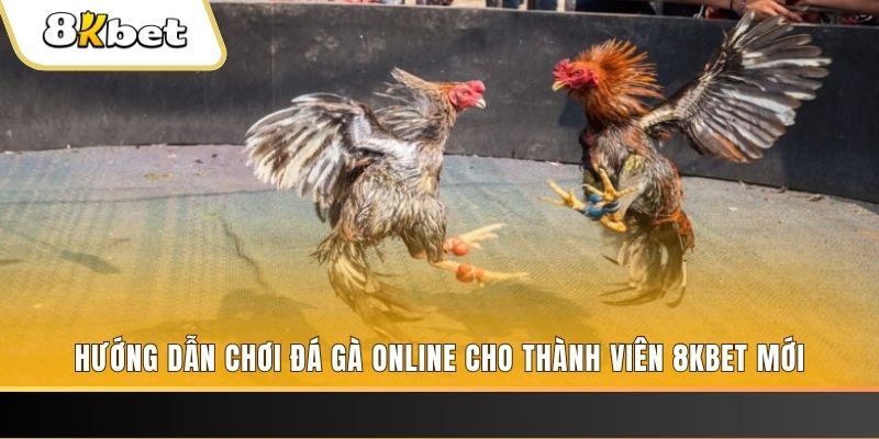 fun888 nổ hũ đổi thưởng . ai