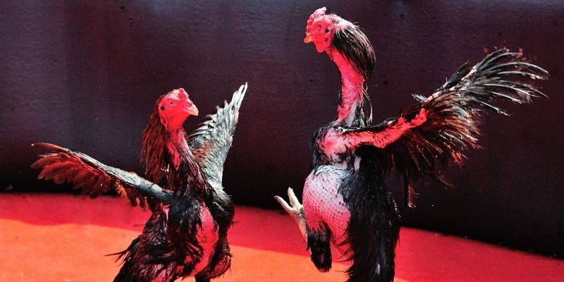 fun888 bắn cá đổi thưởng