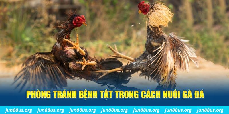 fun888 natural” trong baccarat nghĩa là gì？